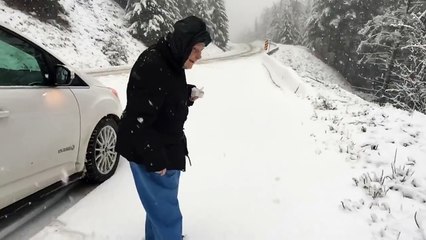 His 101-Year-Old Mother Wanted Out Of The Car For This Hilarious Reason