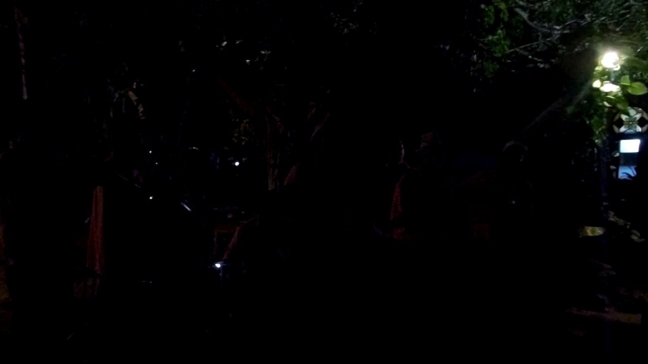 musique cubaine-orchestre nuit