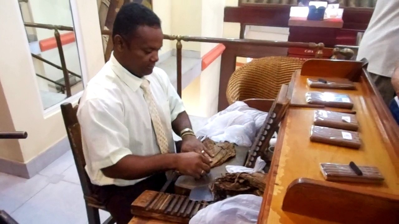 fabrication cigare-La havane-préparation