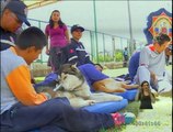 Municipio de Quito inauguró un centro de apoyo canino