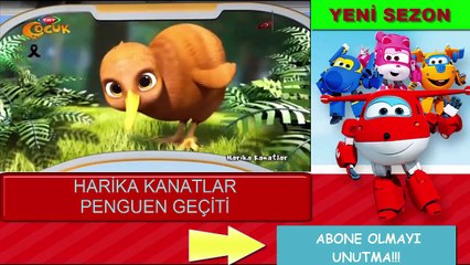 Harika Kanatlar Yeni Sezon Penguen Geçiti