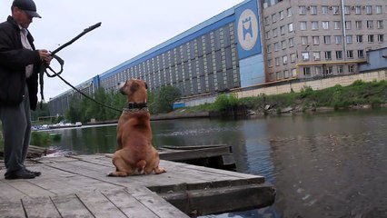 Хотел искупать собаку ))