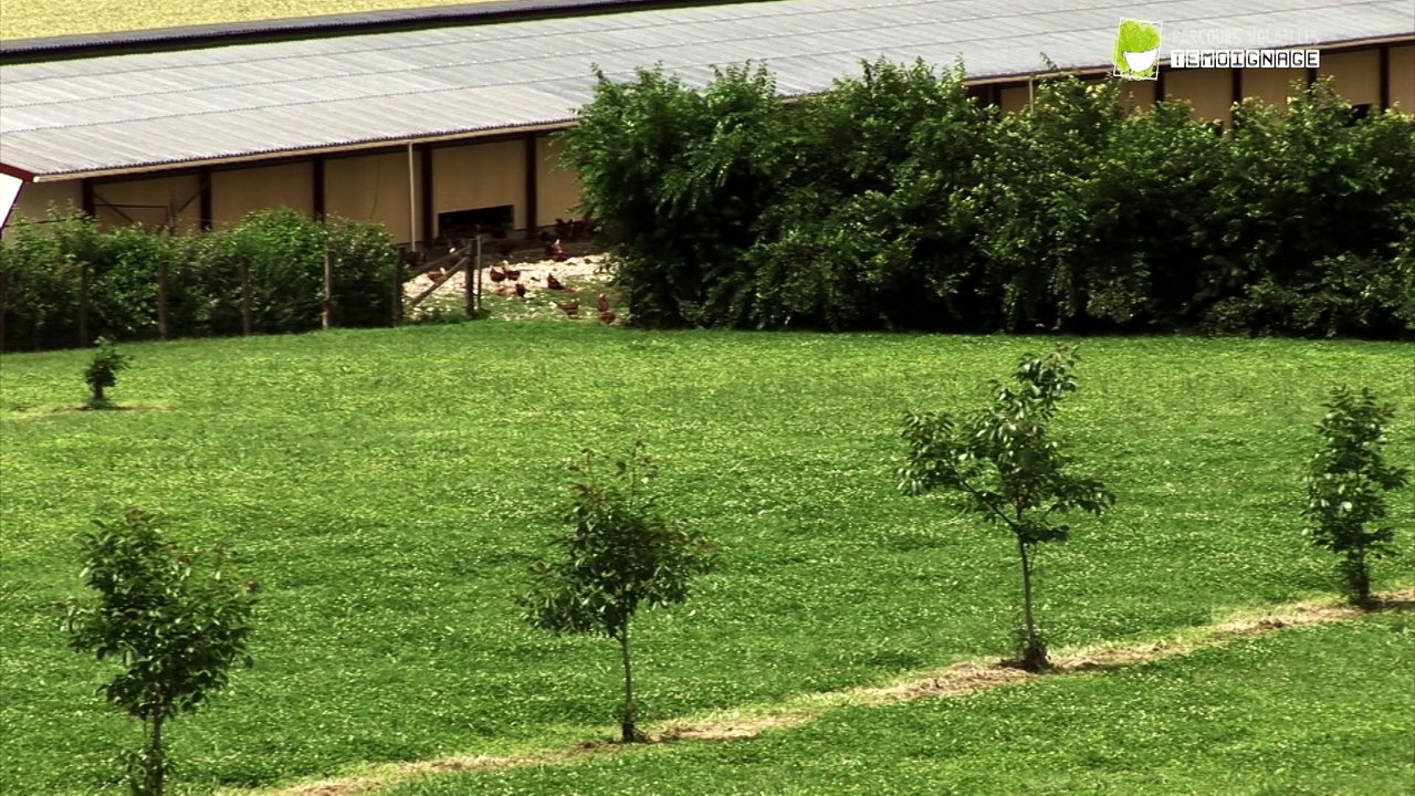 Visite chez un éleveur - Ludovic MANCEAU