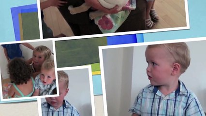 White Velvet Mad About You - Labrador Puppy