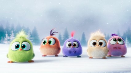 Angry Birds - Meilleurs Voeux
