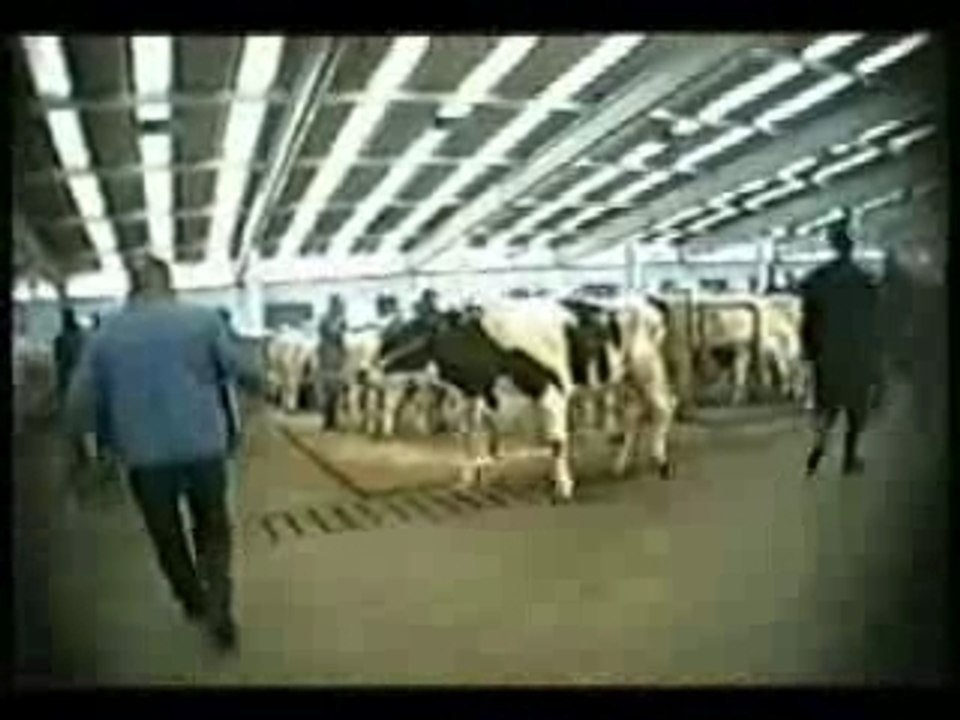 INSANLAR ve UTANC II.