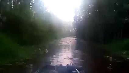 The best funny of 2016 Funny Videos Adventurous trip on rivers many of alligators 2015