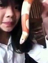 The best funny of 2016 Funny Videos Gril play with sea ​​snake in hand