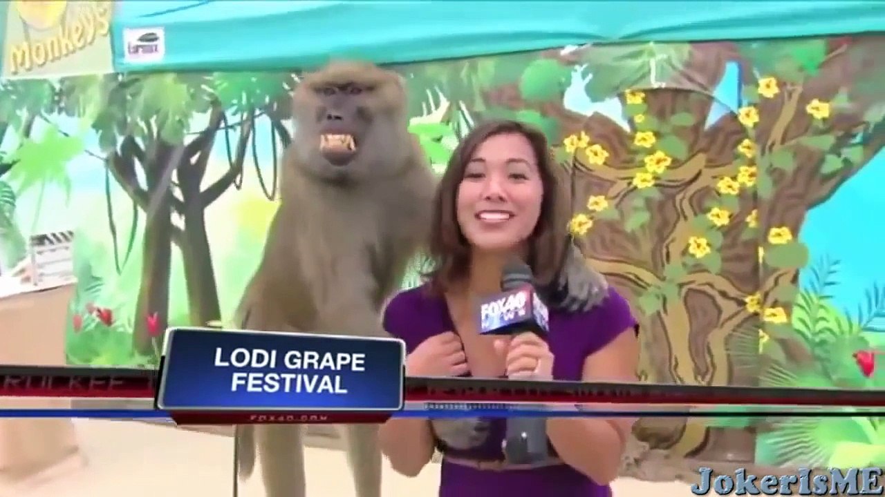 Funny videos - Funniest laughing bloopers ever