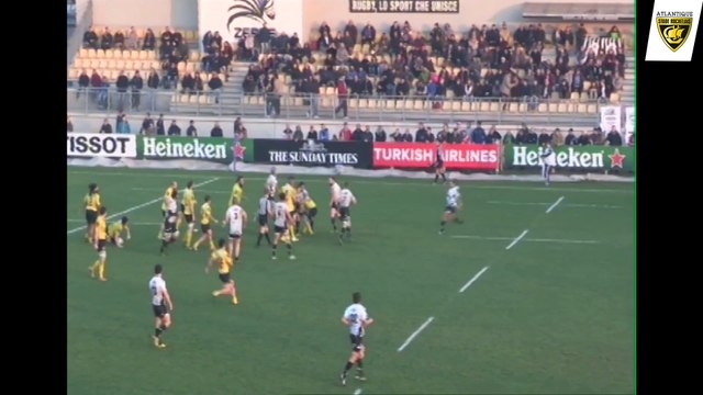 Flash ASR : Après Zèbre / Stade Rochelais
