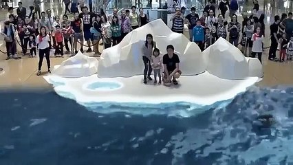 НЕВЕРОЯТНЫЕ ТЕХНОЛОГИИ 7D