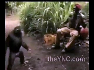 Un mono armado con una kalashnikov asusta a los soldados