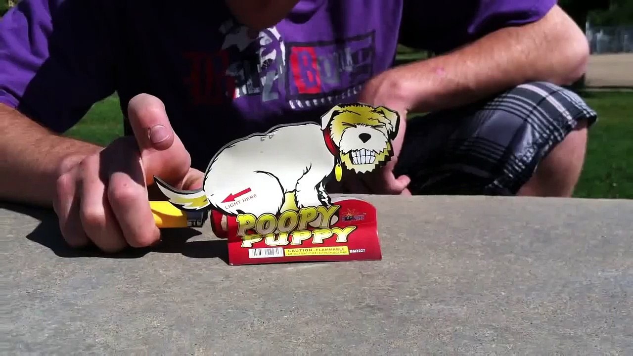 Poopy Puppy Firework...