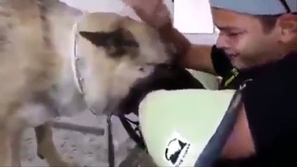 L'ultimo e commovente saluto al migliore amico è sempre struggente