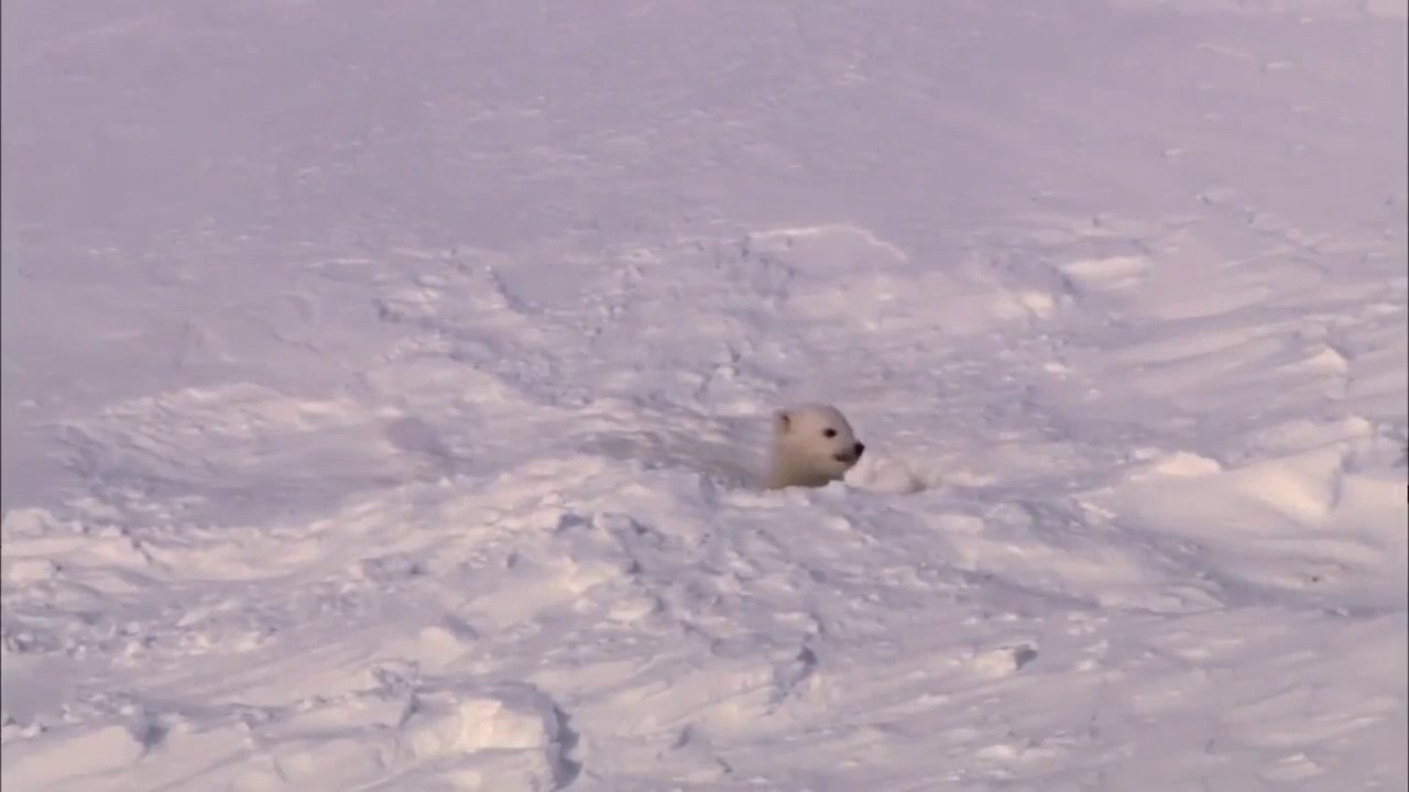 Compil Nature (Paysage)