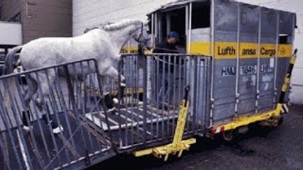 Cargas Impossíveis: Aposta Dupla (Dublado) - Documentário National Geographic