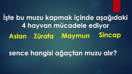 2016 kişilik testi.
