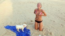 Bikiniye dayanamayan köpek