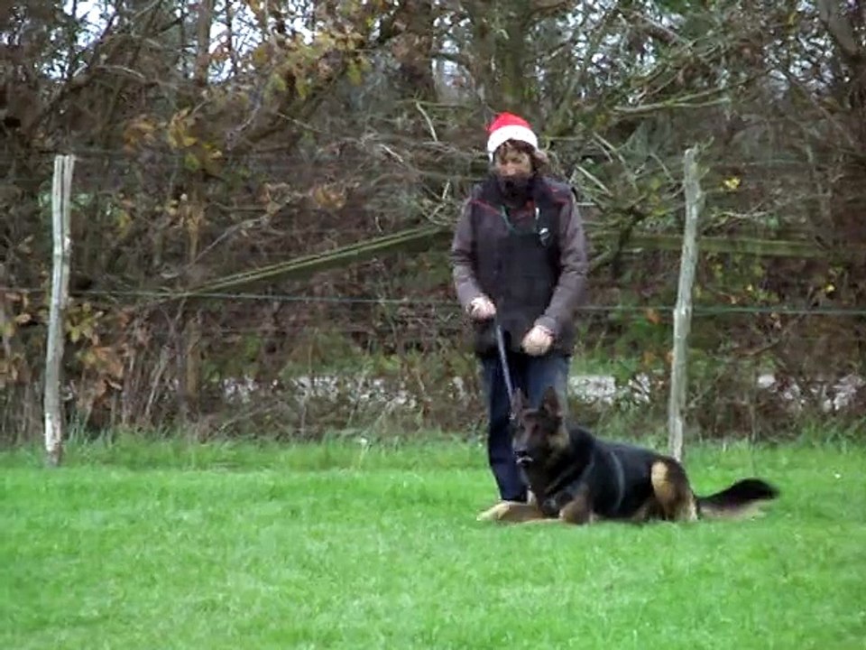 jingle1
