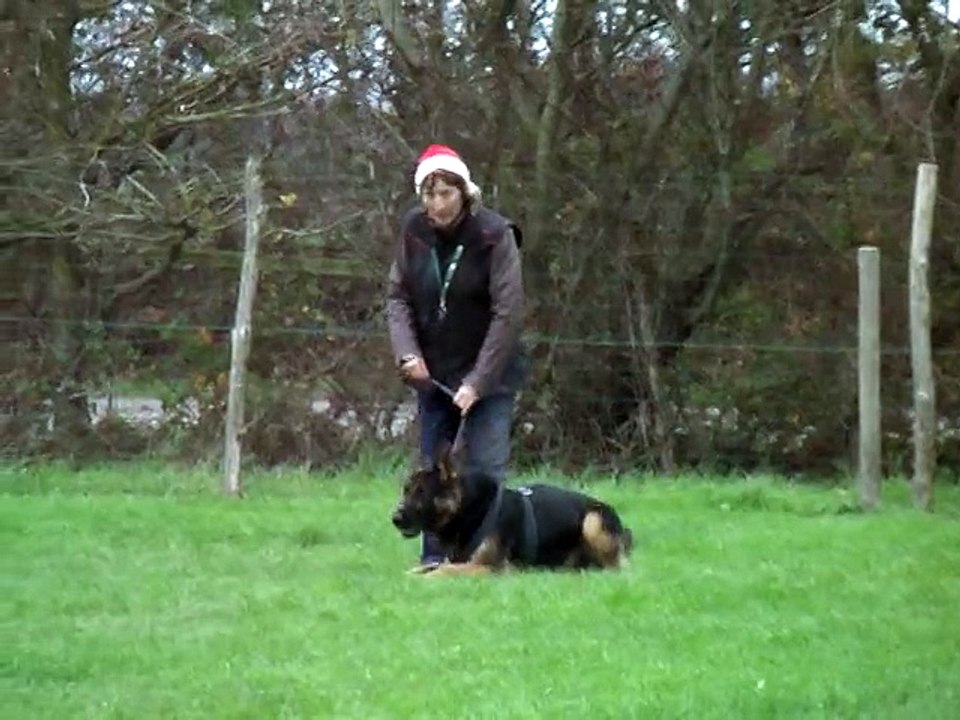 jingle3