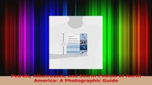 Download  Petrels Albatrosses and StormPetrels of North America A Photographic Guide Ebook Online