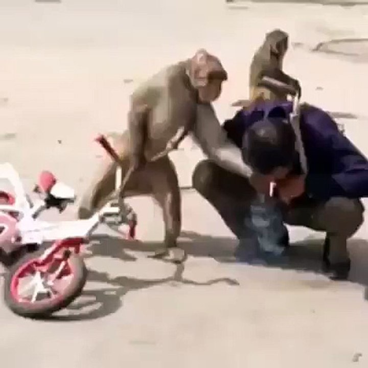 Don't touch me !