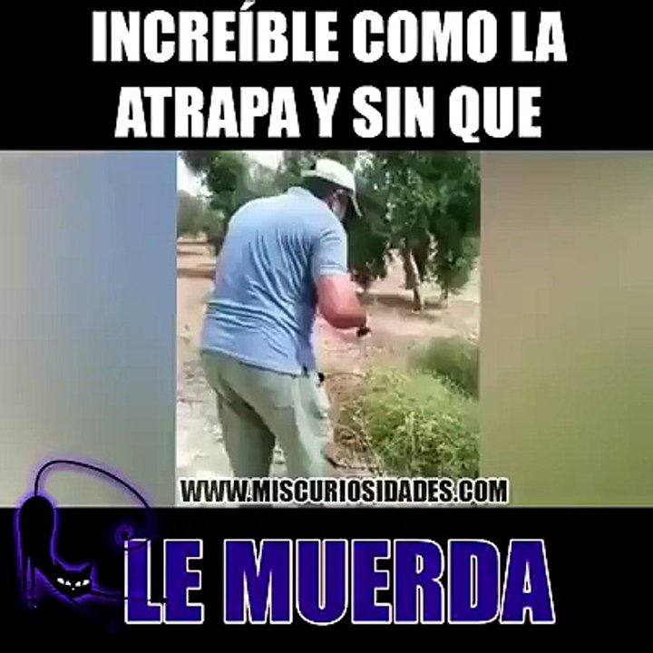Que atrapada