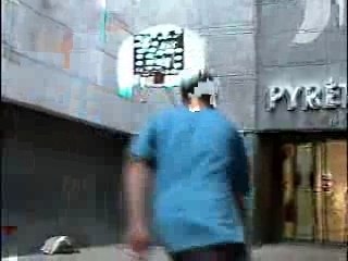 Espèces Urbaines à Andorre - 2