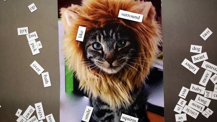 FRISKIES Дорогой котенок