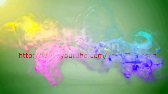 Как собака собирается на дачу