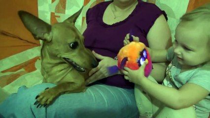 Мы в гостях Алиса и собачка Альма играют We're guests Alice and the dog Alma play