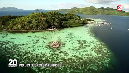 Au milieu des îles paradisiaques, on produit des perles