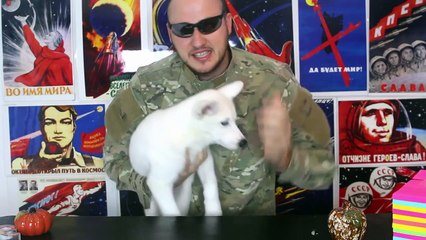 Extreme Sticky Note Experiments (watch in high quality)