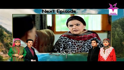 Neelum Kinaray Episode 10 Promo HUMSITARAY TV Drama 21 Dec 2015