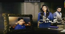 Ek Thi Misaal Episode 30 Promo only Hum Tv 21 December 2015
