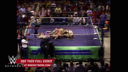 WWE Network Ric Flair & Barry Windham vs