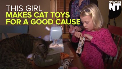 Girl Sells Homemade Cat Toys To Raise Money For The Homeless