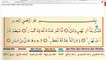 111  Tebbet Suresi  Kuran'ı Kerim Meal Oku,Arapçasını Dinle, Okunuşu ve Maili, Videolu sesli dinle ve izle öğren