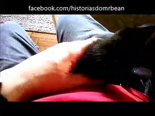 Filme do Gatinho Preto