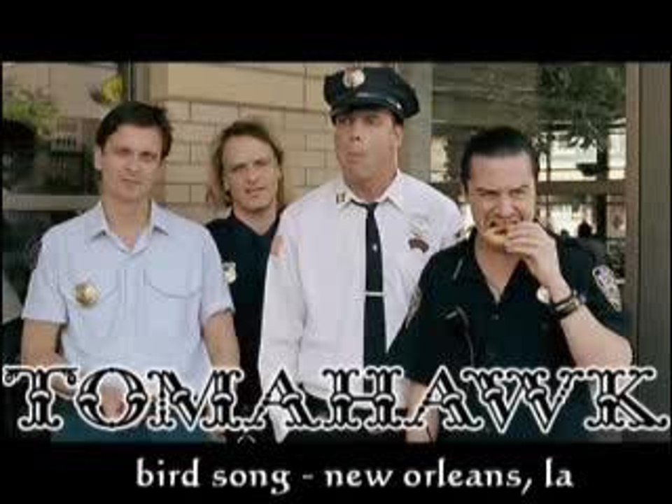 Bird