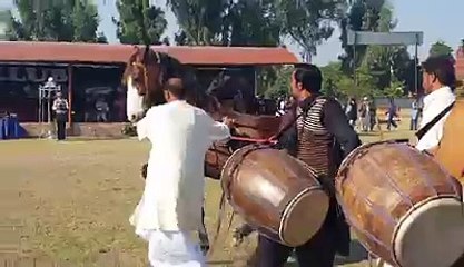 horse dance ......in pakistan .......gorha nach aik mele ka manzar ..........dailymoitoin