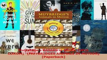 Read  Muybridges Animals in Motion With CDROM   MUYBRIDGES ANIMALS IN MOTION Paperback Ebook Free