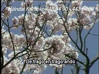 DE TRAGO EN TRAGO - LOS DIAMANTES