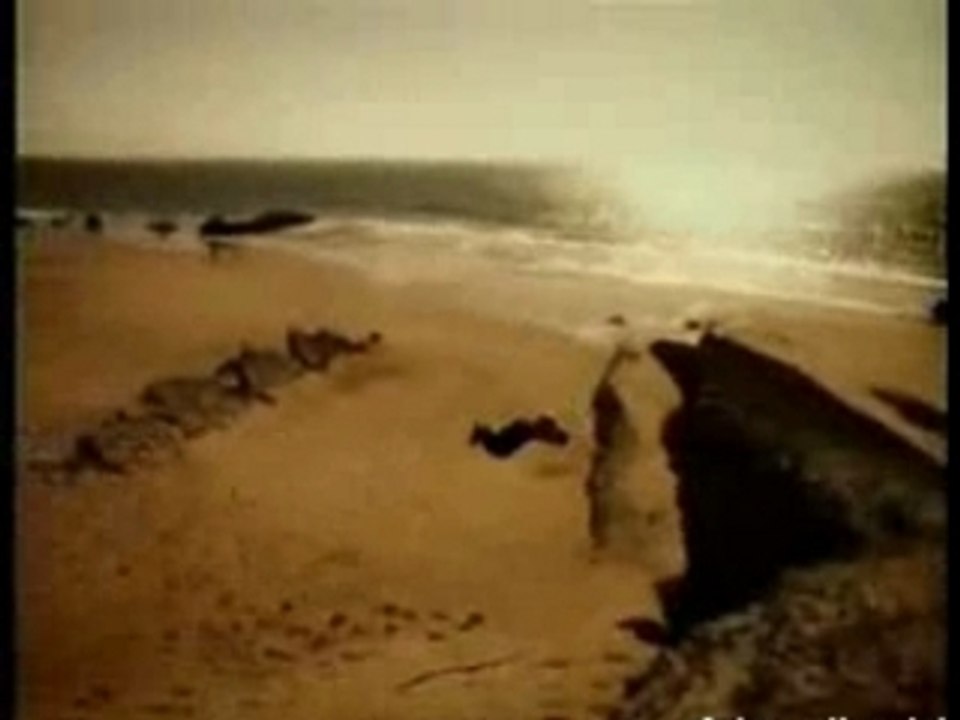 ADRENALINE MIX art du déplacement/parkour