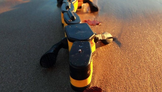 Programming a Robot to Walk or Swim Like a Salamander