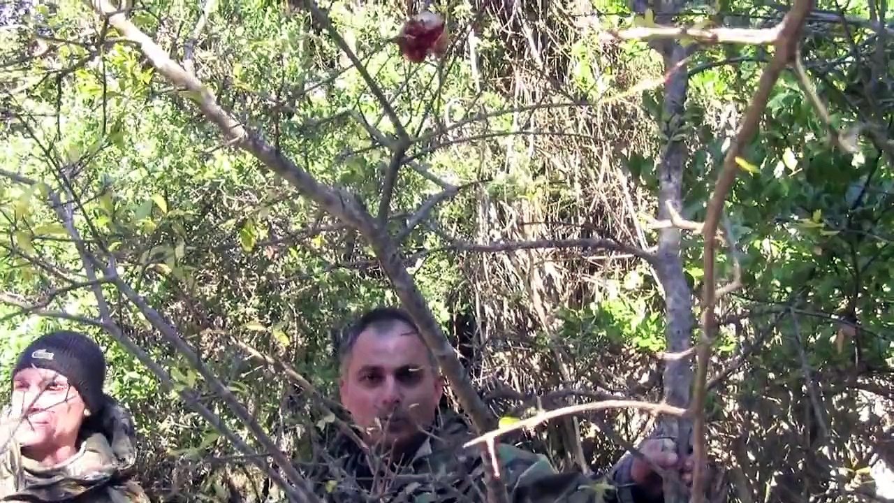 Adana & Kadirli Avcıları Ortak Domuz Avı