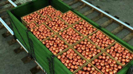 Thomas & Friends: Thomas and The Tall Friend