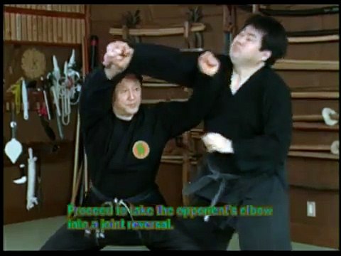 Lecciones técnicas de Ninjutsu