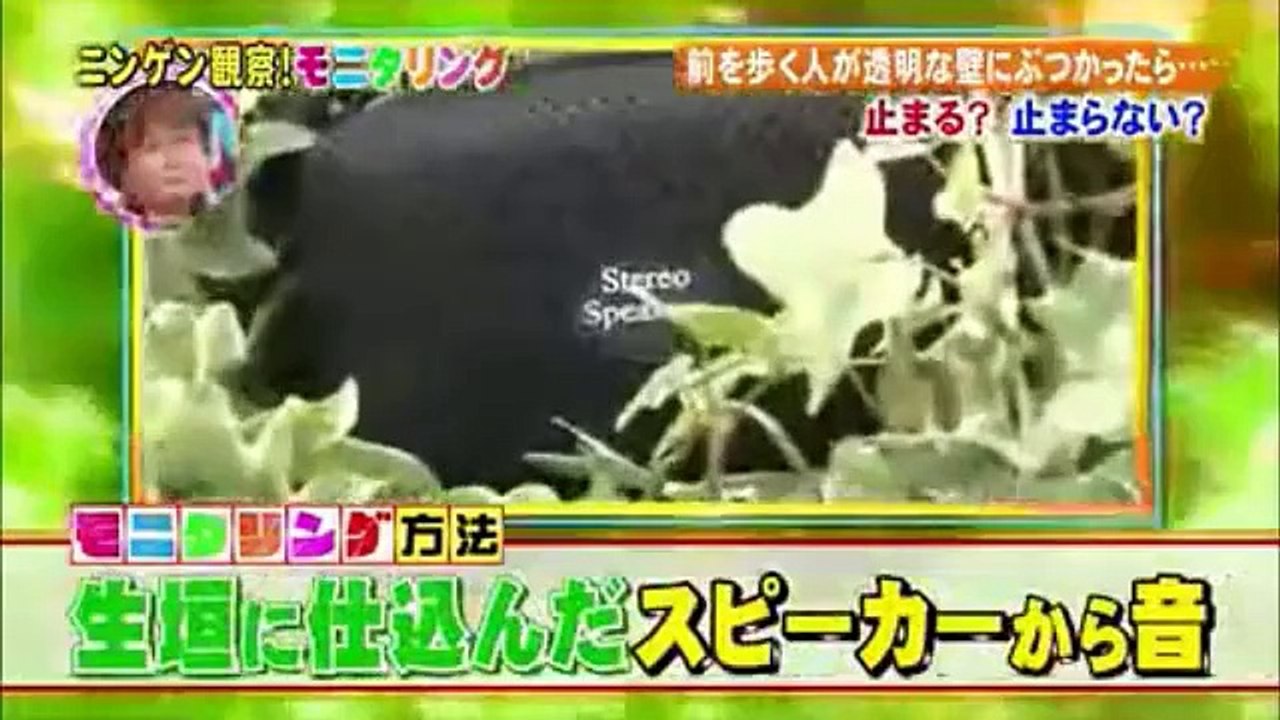 ドッキリ★前を歩く人が透明の壁にぶつかったらどんな反応か!？