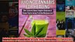 Juicing Cannabis for Healing How I Achieved Almost Complete Remission of Chronic Pain by